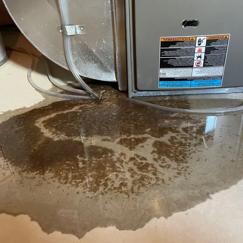 Pipe Burst and Leak Restoration in Person County, NC