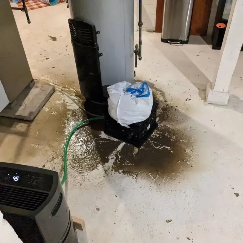 Sewage Backup Cleanup Service in Person County, NC